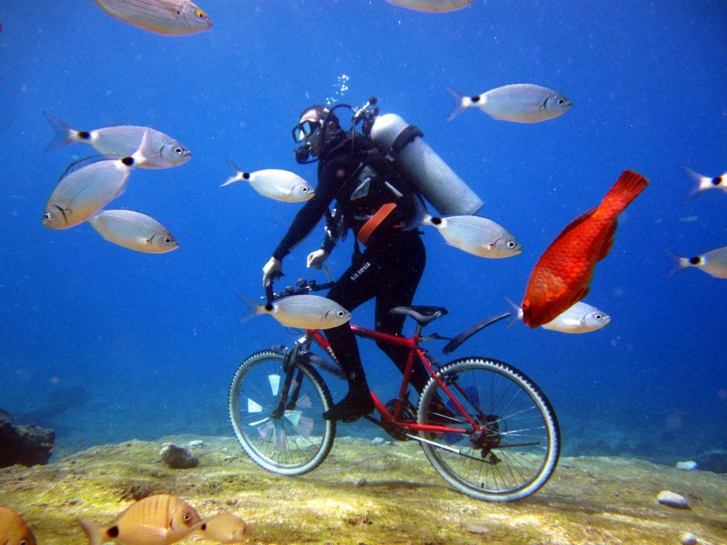 fethiye tüplü dalış fiyatları 2026