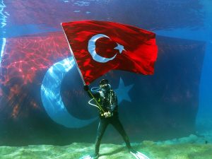 DALIŞ BİLGİSİYARI